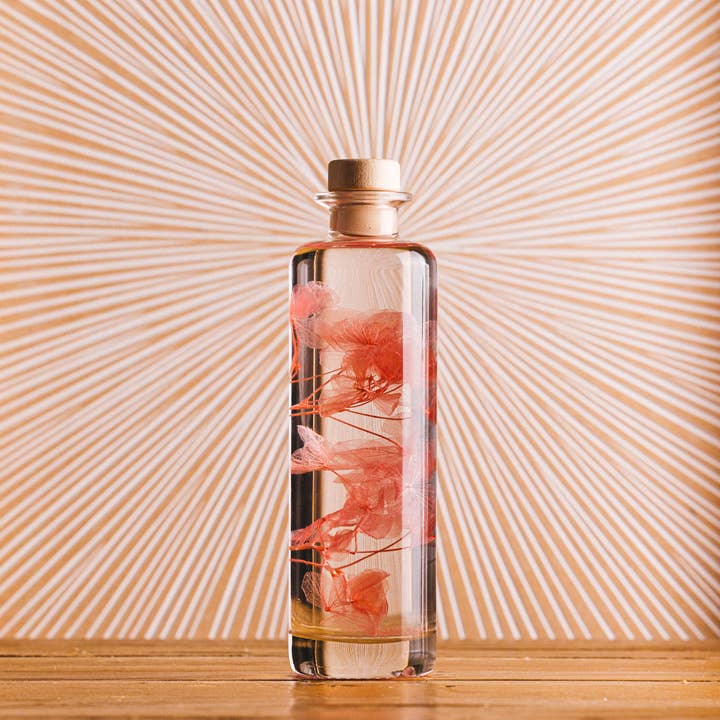 Theophile Berthon - Wholesale Live Plant - L'Herbarium Hortensia rose - Submerged flower8