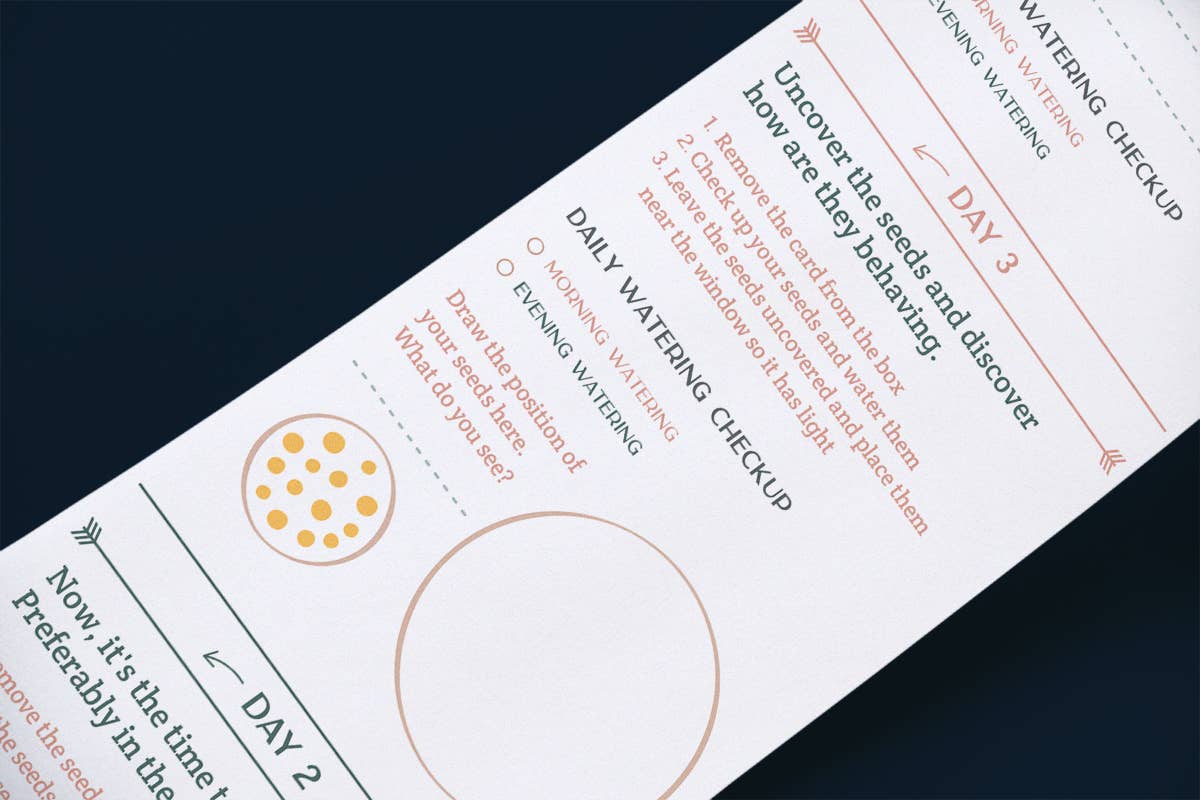 Scrollino - Wholesale DIY Craft Kit - Kids - Original Activity & Growing Kit - Scrollino Mustard Sprouts5