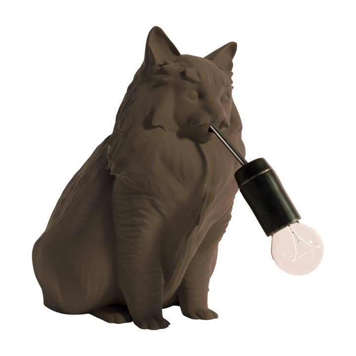 Fiastra Design - Wholesale Accent/Desk Lamp - Noorse Boskat Tafellamp1