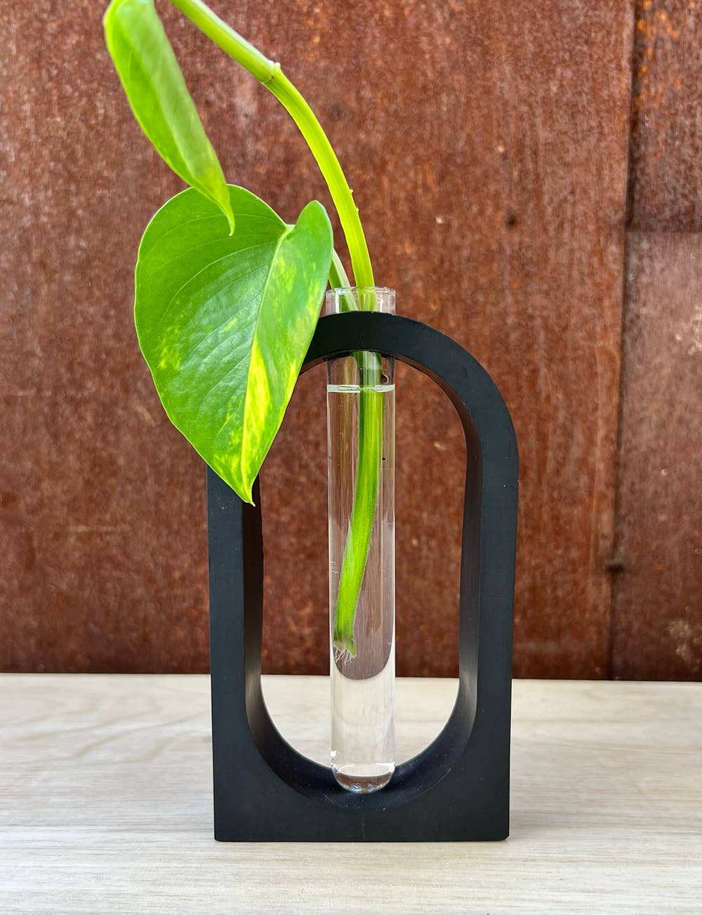 Well Hello Studio - Wholesale Vase - Earth Tone Arch Propagation Station