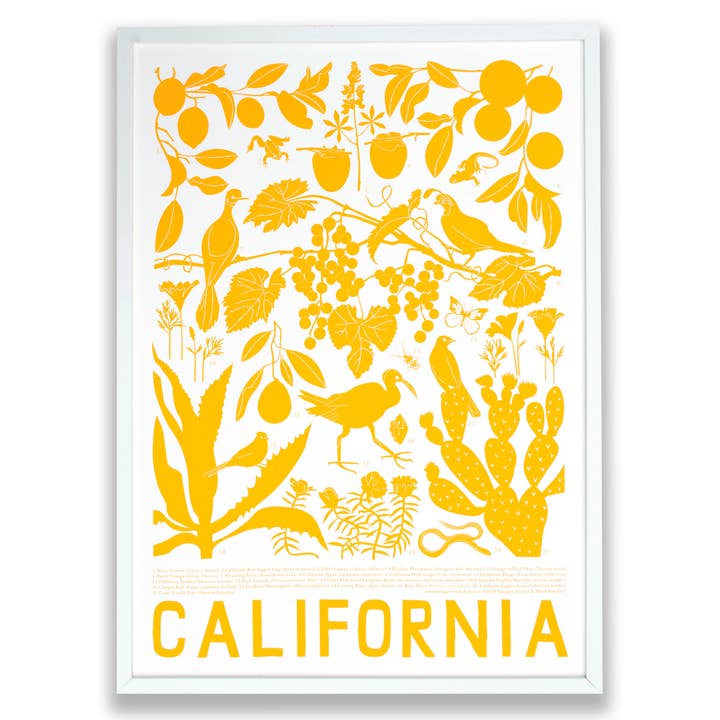 Banquet Workshop - Wholesale Art Print - California Art Print - Marigold Flora and Fauna