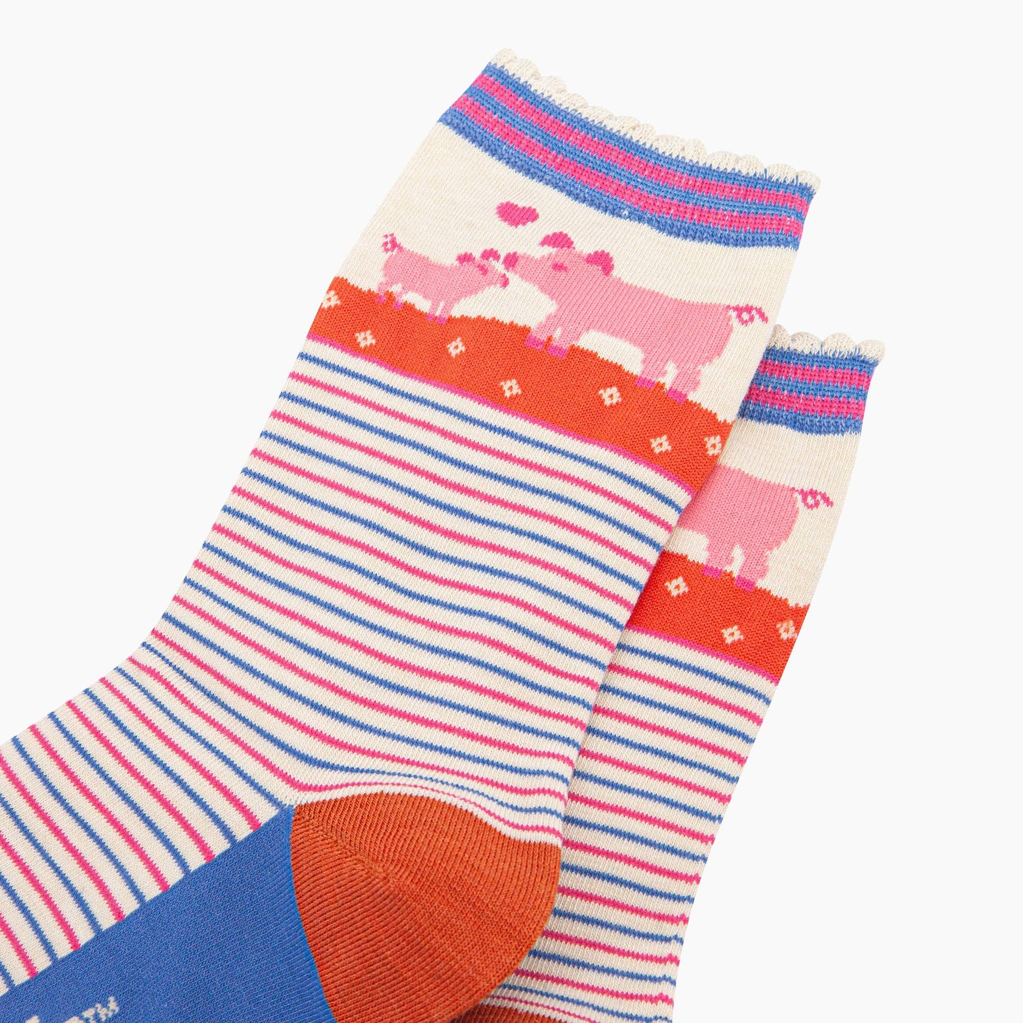 Sock Talk - Wholesale Socks - Women's - Women's Bamboo Socks - Cream, Pig & Piglet2