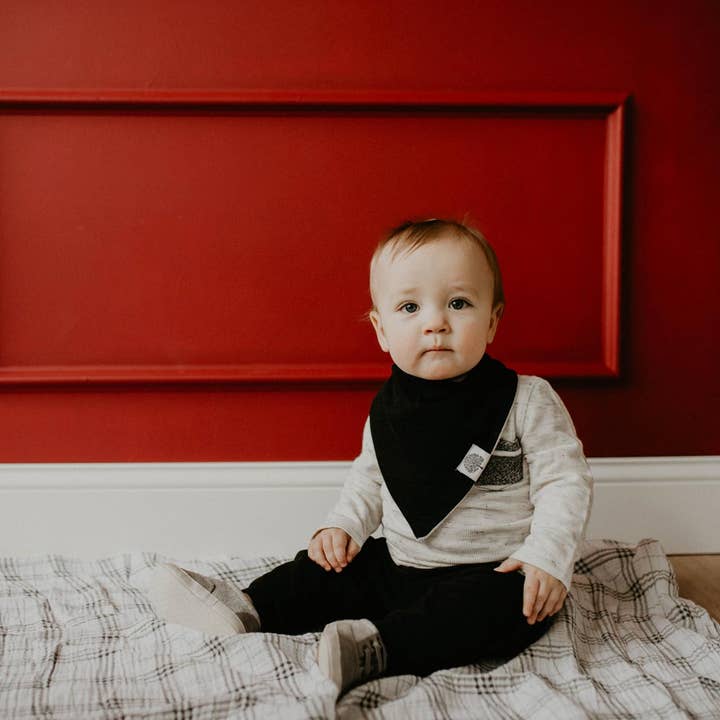 Parker Baby Co. – wholesale Bandana bib – Lunar Bandana Bib Set (8 pack)7