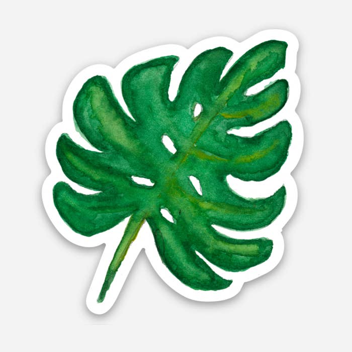 Monstera Leaf Sticker for wholesale by Wild Juniper Art Studio
