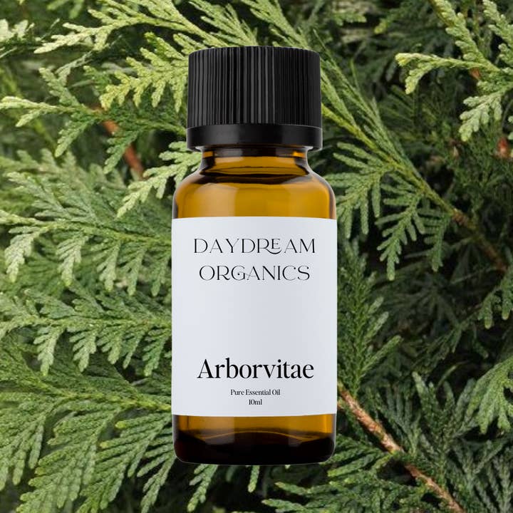 Arborvitae Essential Oil for wholesale by Daydream Organics | Prairie Doctor Brand