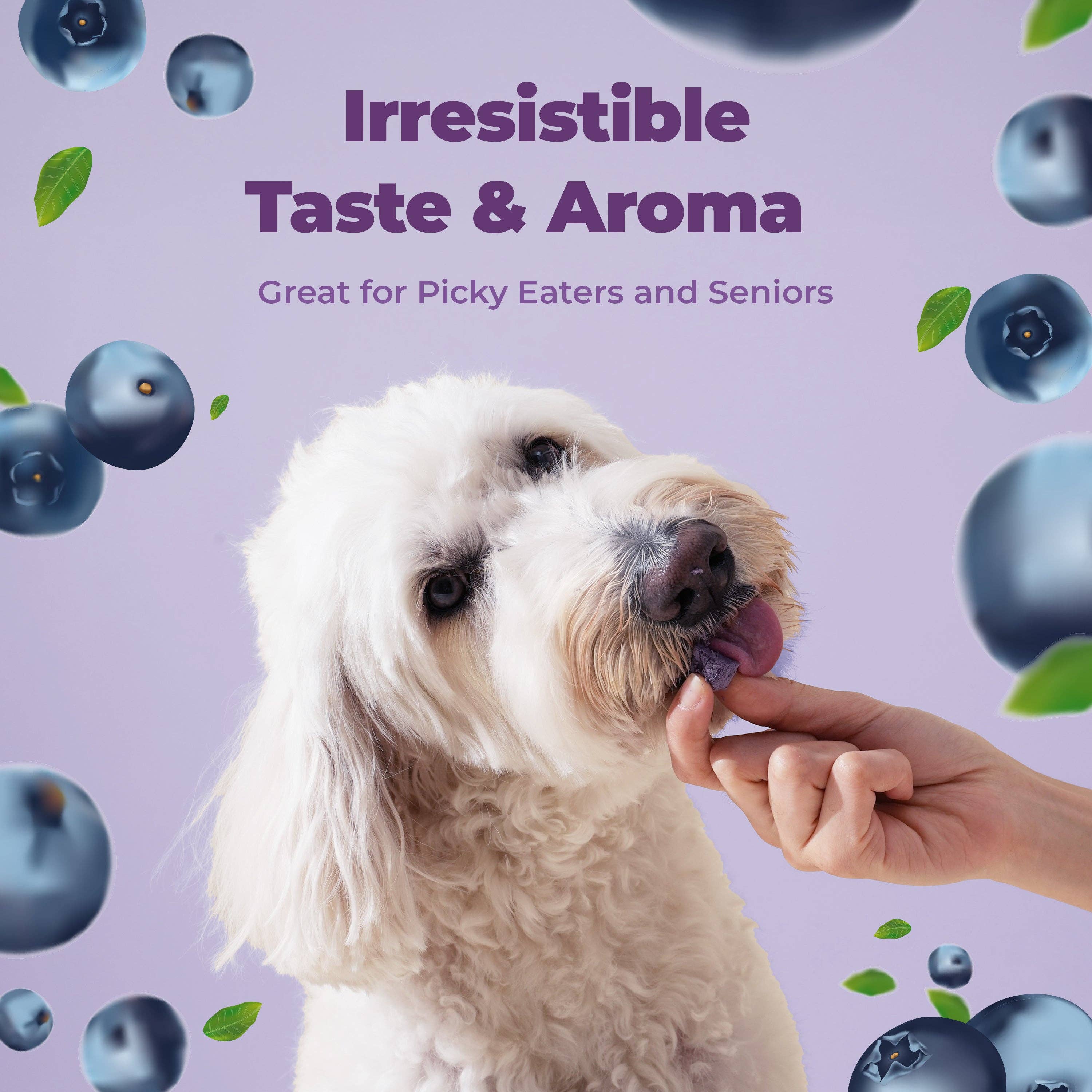 Kproduct4u - Wholesale Pet treats – Dog - It's Goat! Blueberry!6