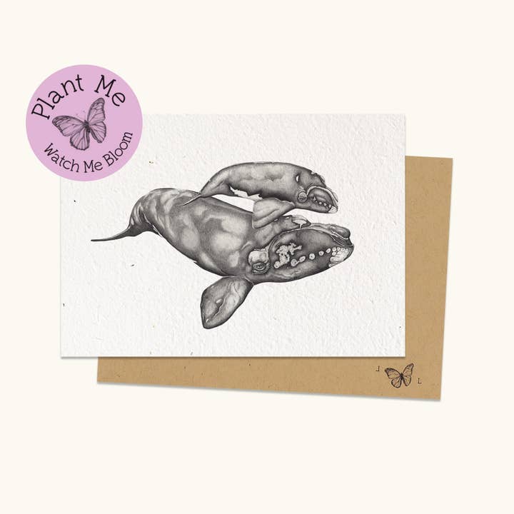 Plantable Greeting Card - Nurturing Pride (whale & calf) for wholesale by Laura Luke