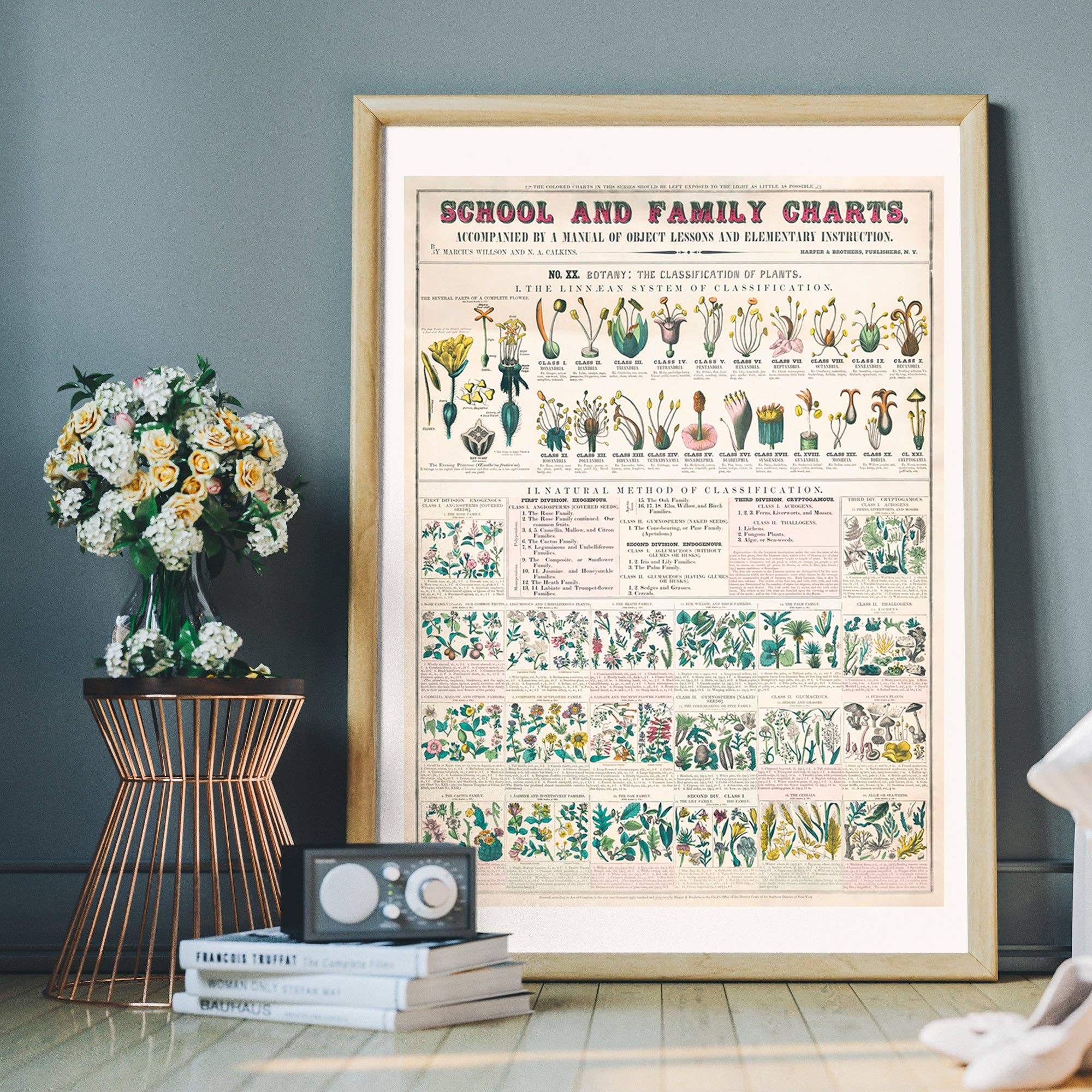 Ink & Drop – wholesale Art print – Classification of Plants Botanical Chart3