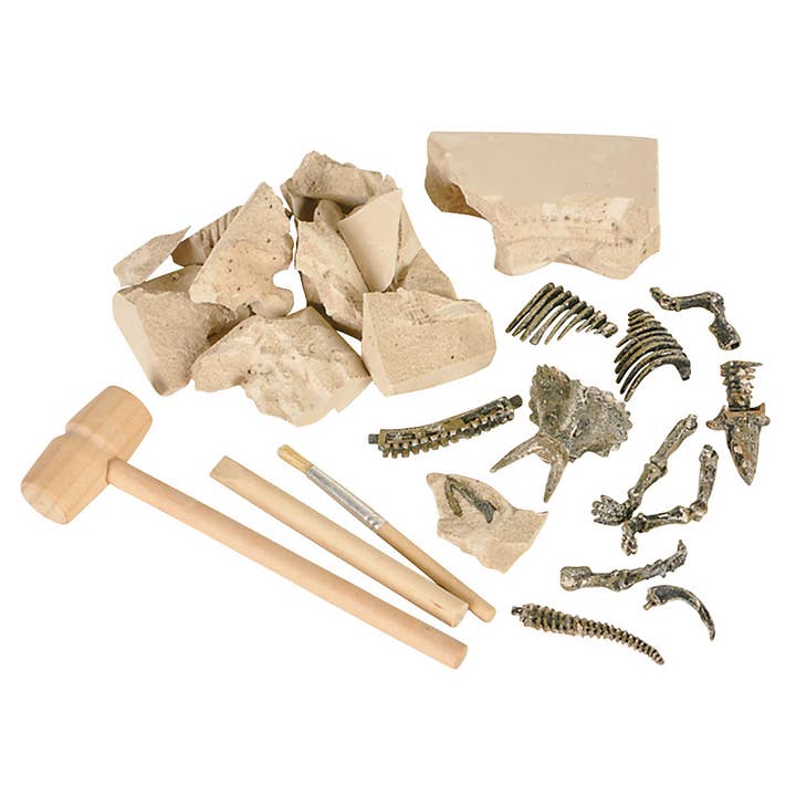The Toy Network - Wholesale DIY Craft Kit - Kids - (T) DINOSAUR DELUXE FOSSIL EXCAVATION KIT2