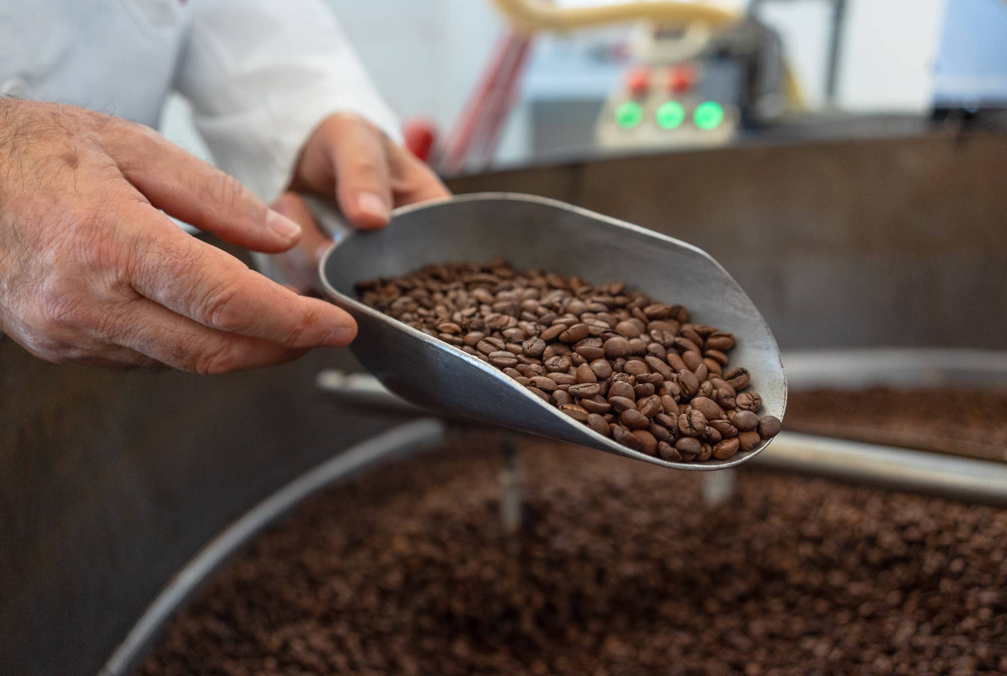 Domingo Caffè - Wholesale Coffee Beans - Sofia Espresso Italiano (Box containing 6 Kg)1