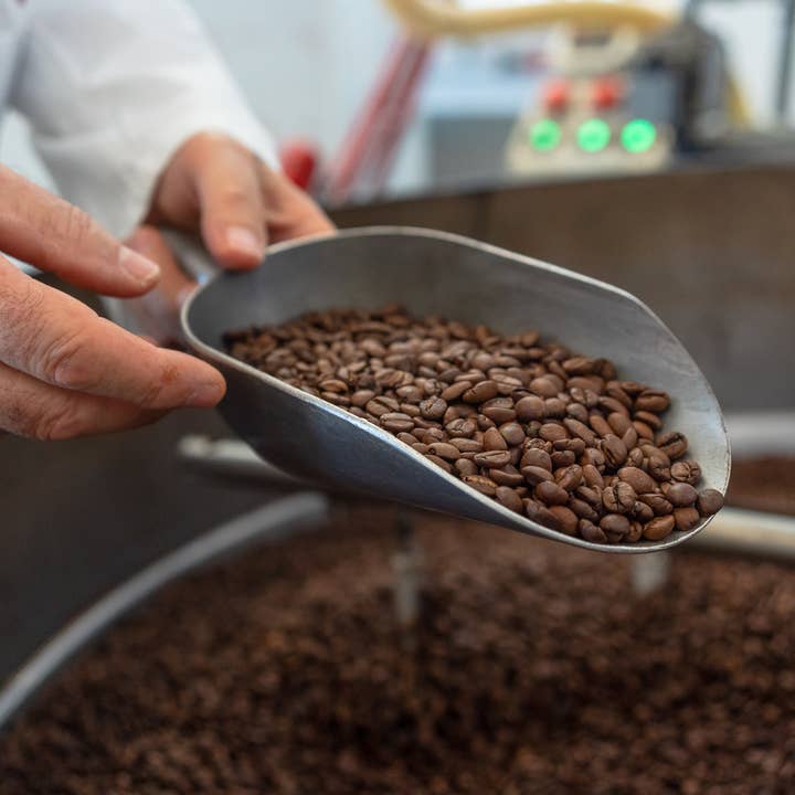 Domingo Caffè – Engroshandel Kaffebønner – Sofia Espresso Italiano, æske med 6 kg1