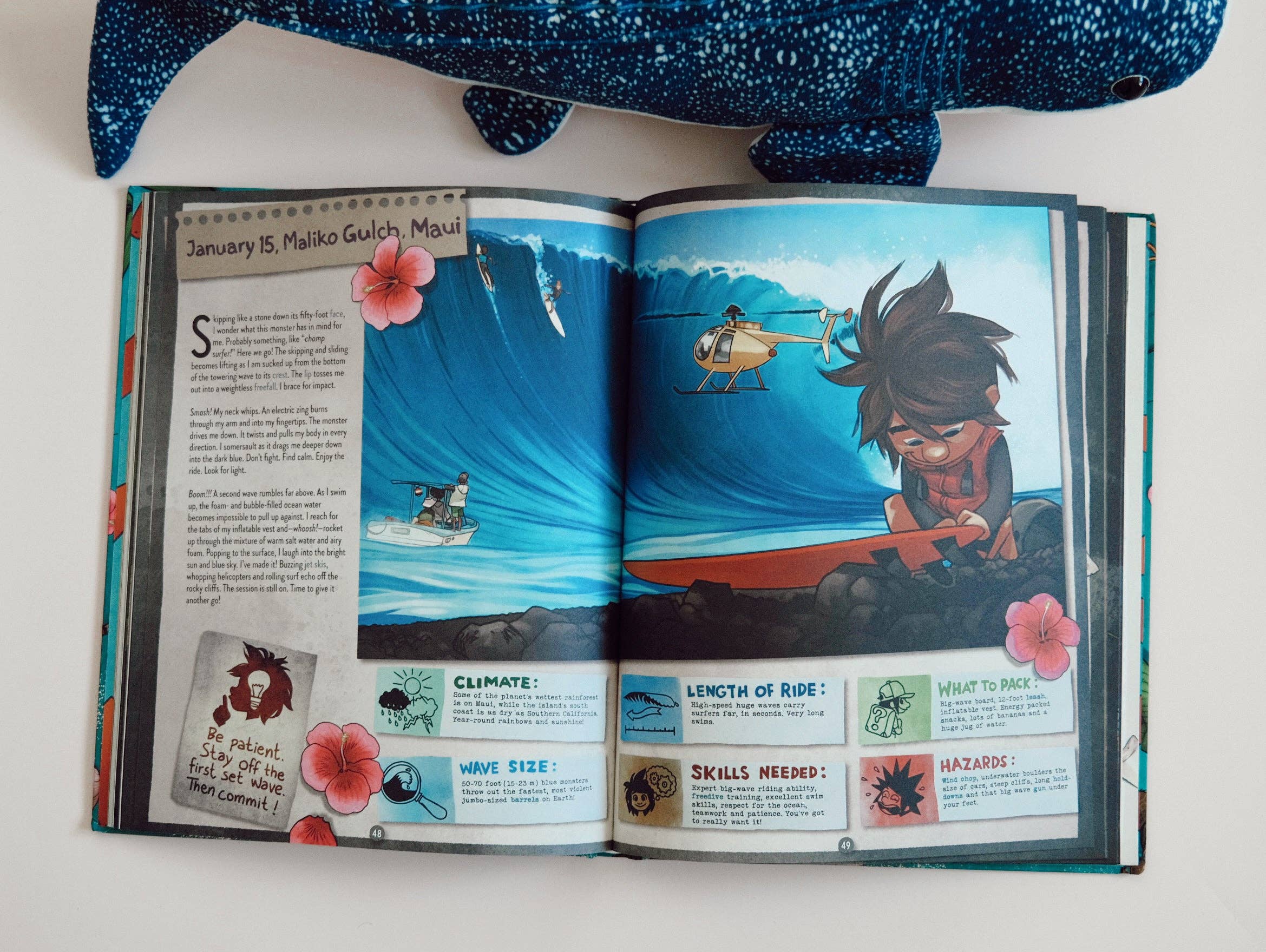 The Little Surfer Dude - Wholesale Middle Grade Book (9-12) - Hubi's Surf Atlas1