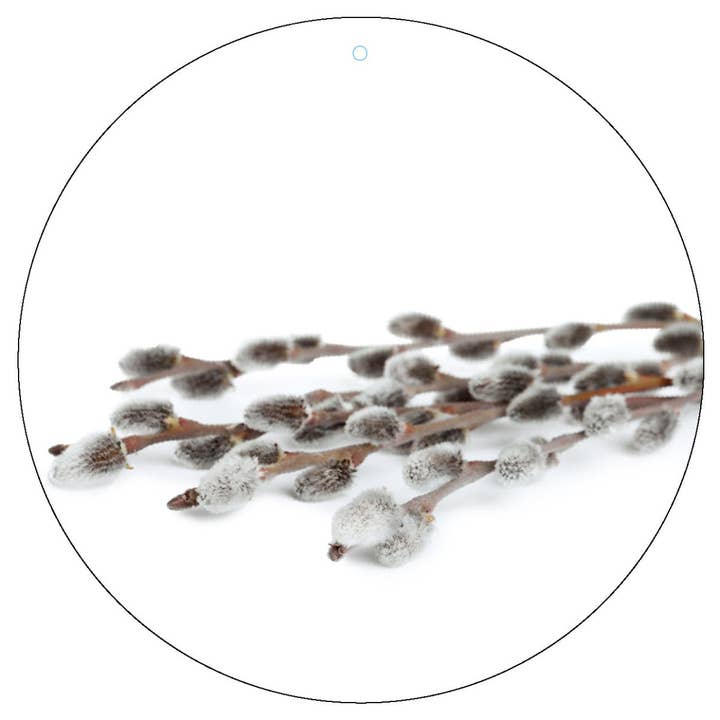 Dekoboard Midi "Pussy Willow" for wholesale by dekoboards