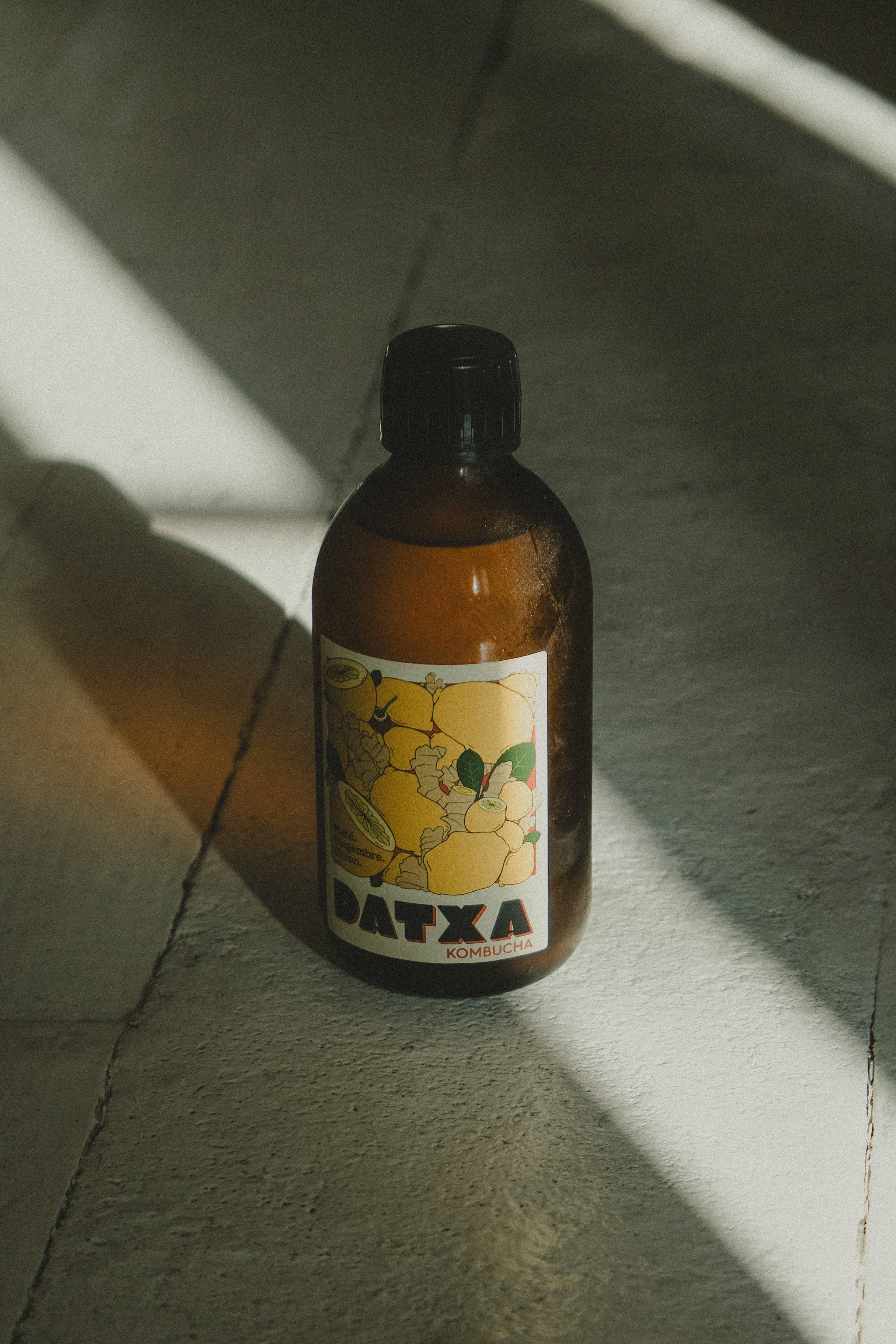 Datxa Kombucha - Wholesale Kombucha - Kombucha Mate Ginger Lemon Bio/Organic1