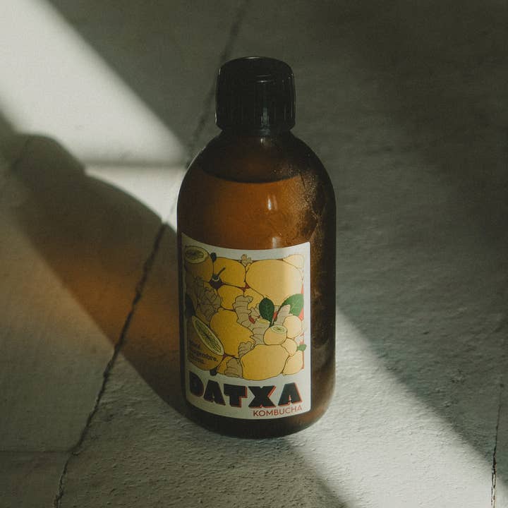 Datxa Kombucha - Wholesale Kombucha - Kombucha Mate Ginger Lemon Bio/Organic1