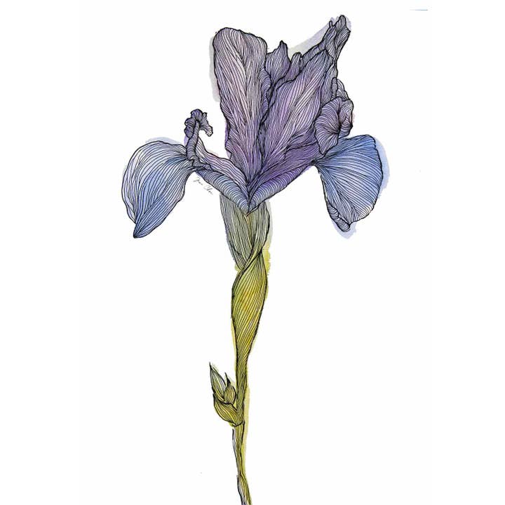 Euns Iris Print for engroshandel hos Jane W. Choi Designs