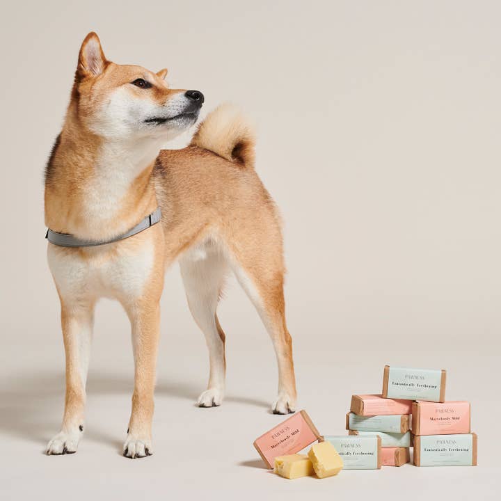 Pawness - Wholesale Pet shampoo – Dog - Dog Shampoo bar Marvelously Mild4