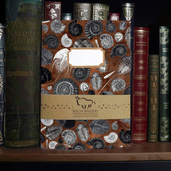 Ammonoidea Fossil A5 Recycled Notebook - 36 Plain Pages for wholesale by Bison Bindery