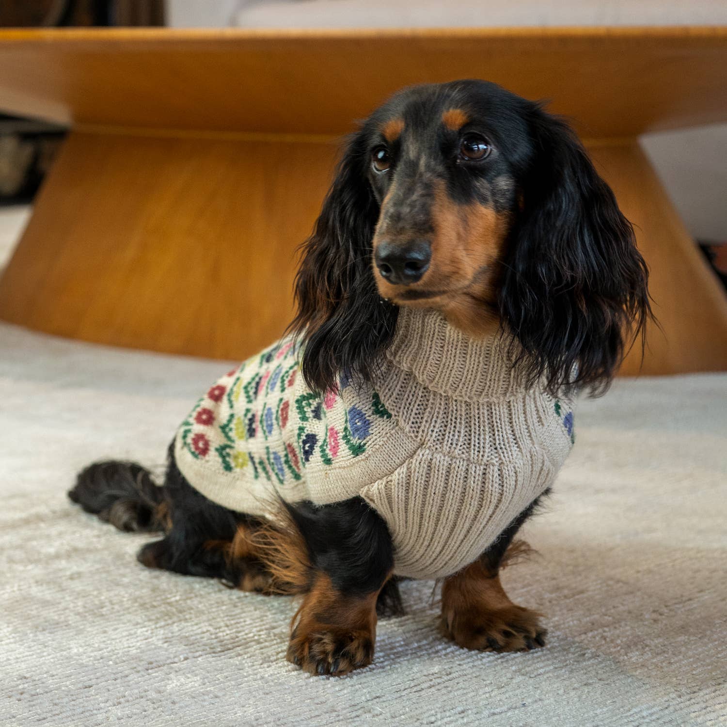 Alqo Wasi – wholesale Pet jumper – Dog – Flower Alpaca Dog Sweater6