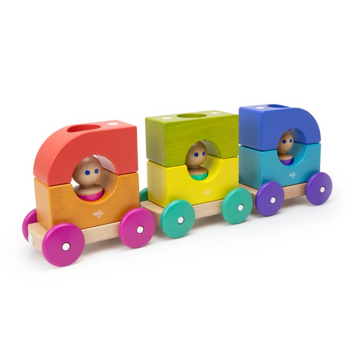 Magnetic Tegu Tram for wholesale by Tegu