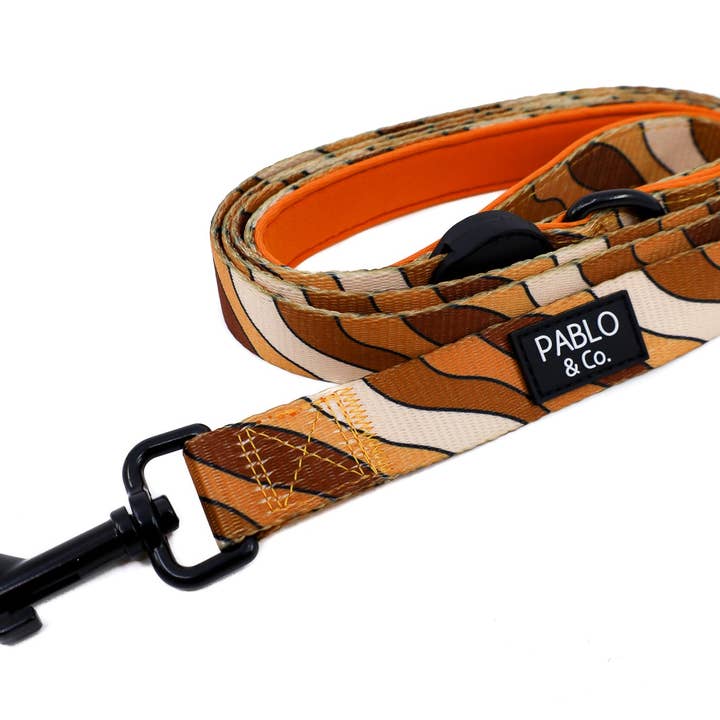 Espresso Swirls: Dog Leash for wholesale by Pablo & Co. Boutique