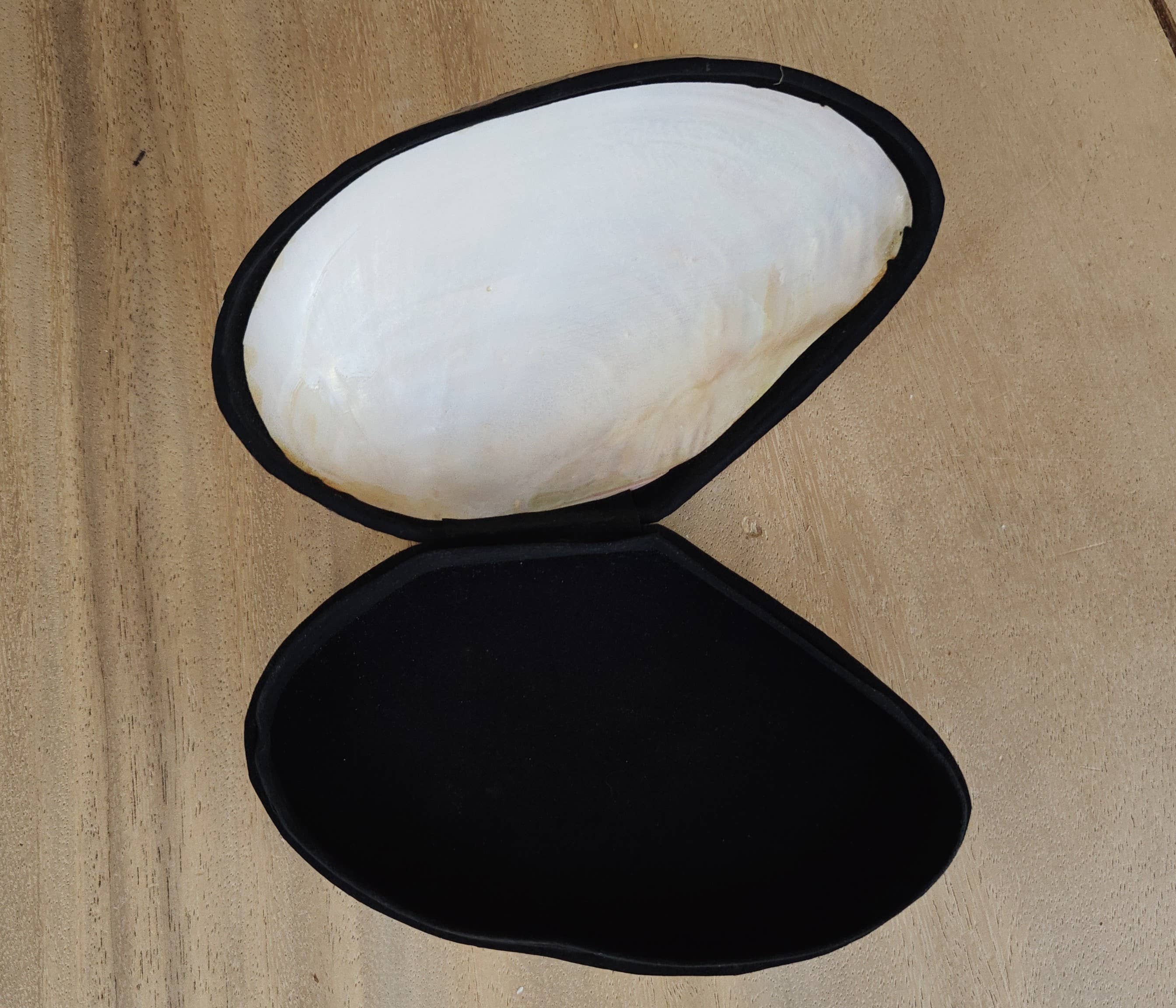 Product Import Holland – Engroshandel Bordpynt – Smykkeskrin Kupang med naturinspireret skaller fra kysten2