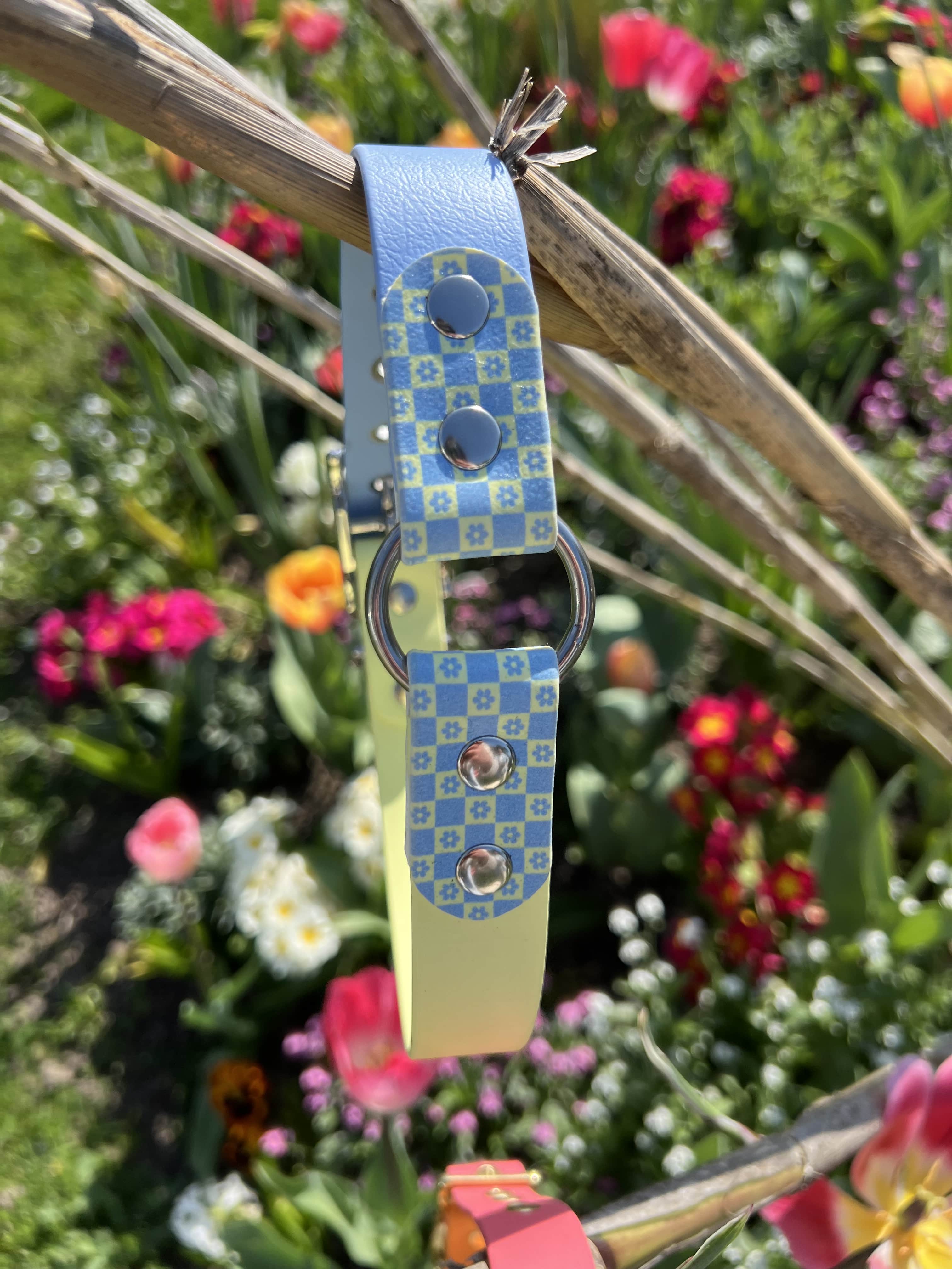 Splash By Happy - Wholesale Pet Collar - Dog - 🌼 Happy Flower 🌼23