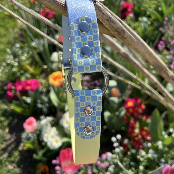Splash By Happy - Wholesale Pet Collar - Dog - 🌼 Happy Flower 🌼23