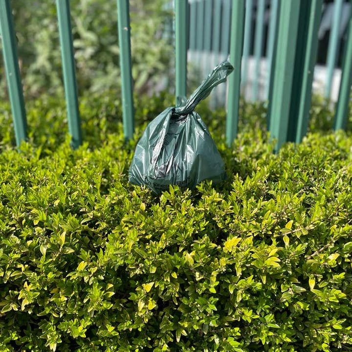 PANMER LTD - Vente Sac à déjections canines - Poo Bio Bags - Sacs biodégradables pour déjections canines x 5002