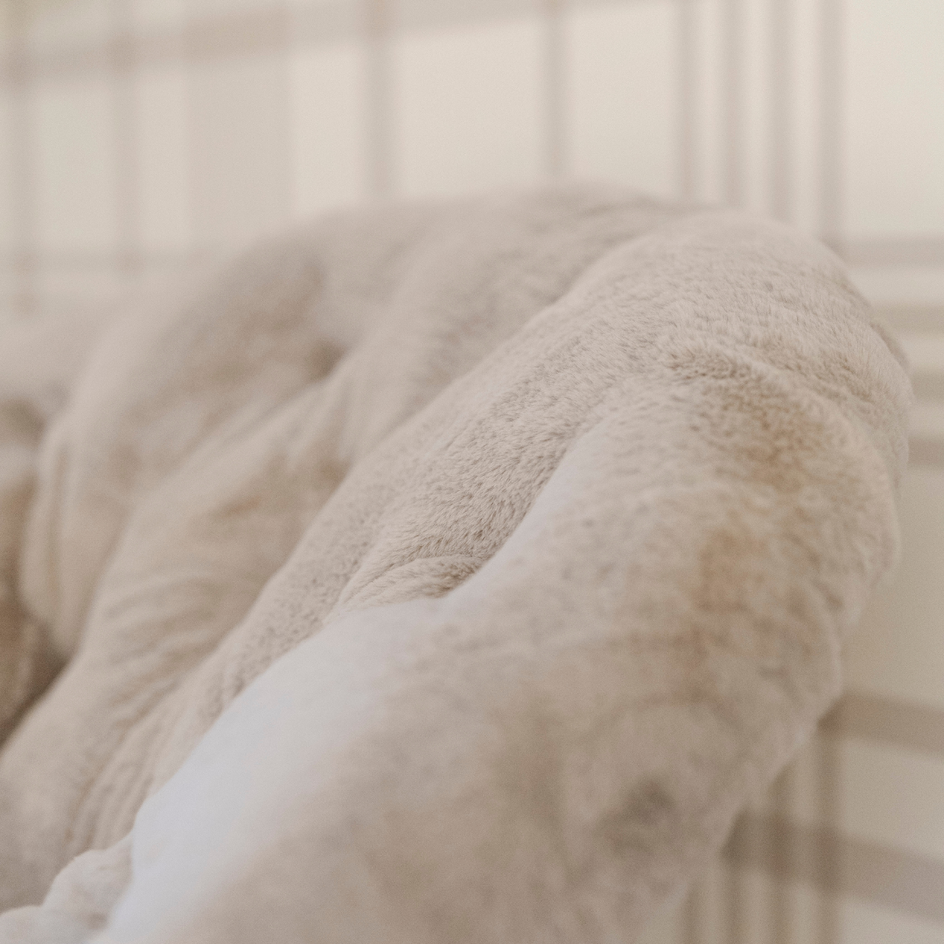 Saranoni - Wholesale Chair - Kids - SAUCER CHAIR8