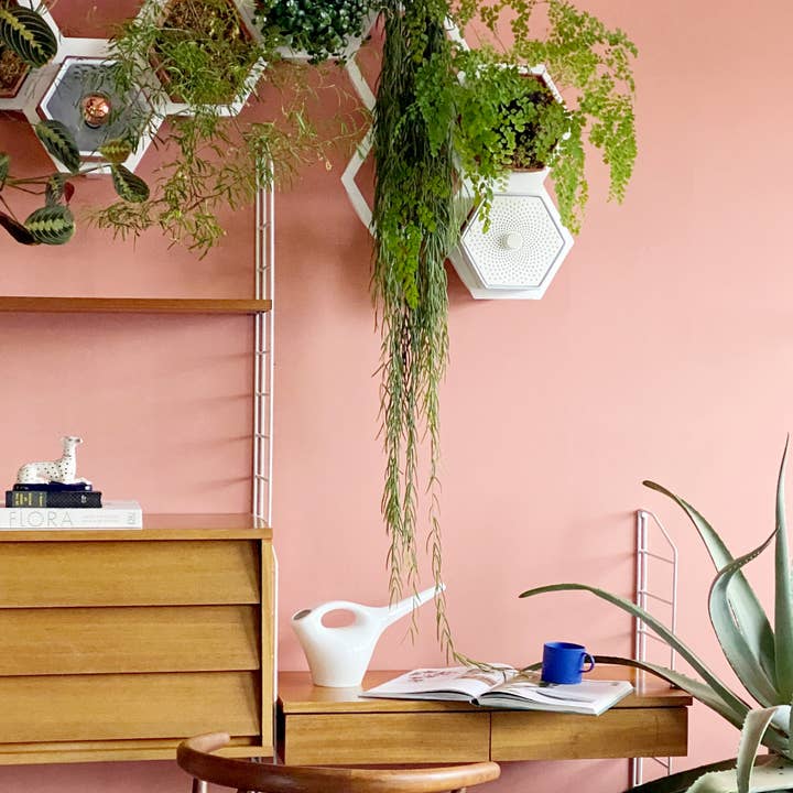 Horticus – wholesale Väggkruka – Horticus levande vägg växt ram4