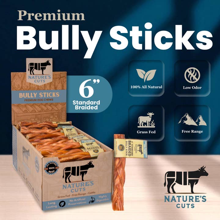 Mighty Chewz - Wholesale Pet Treats - Dog - 6" Standard Braided Bully Sticks Display Box ($2.03/Stick)2