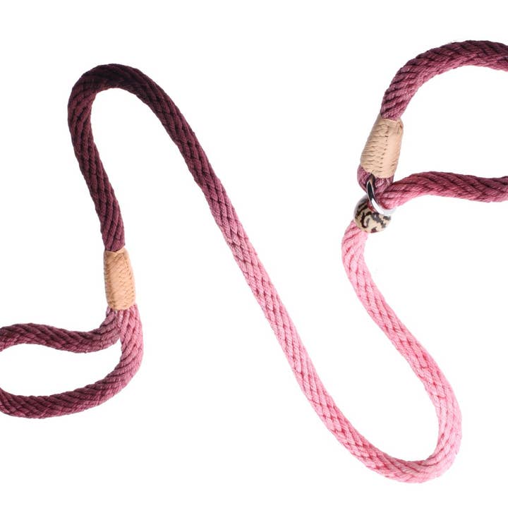 Alvalley - Wholesale Pet Leash - Dog - Nylon Slip Lead With Stopper244