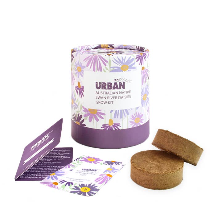 Urban Greens - Wholesale Plant seeds - Urban Greens Australian Native Swan Daisies Grow Kit1