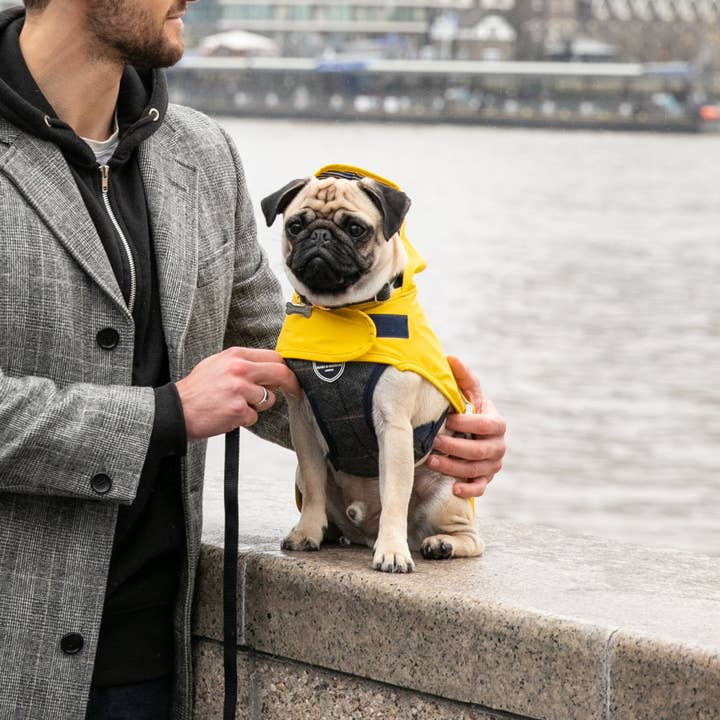 Hugo & Hudson - Wholesale Pet Harness - Dog - Tweed Dog Harness - Grey Checked Herringbone6