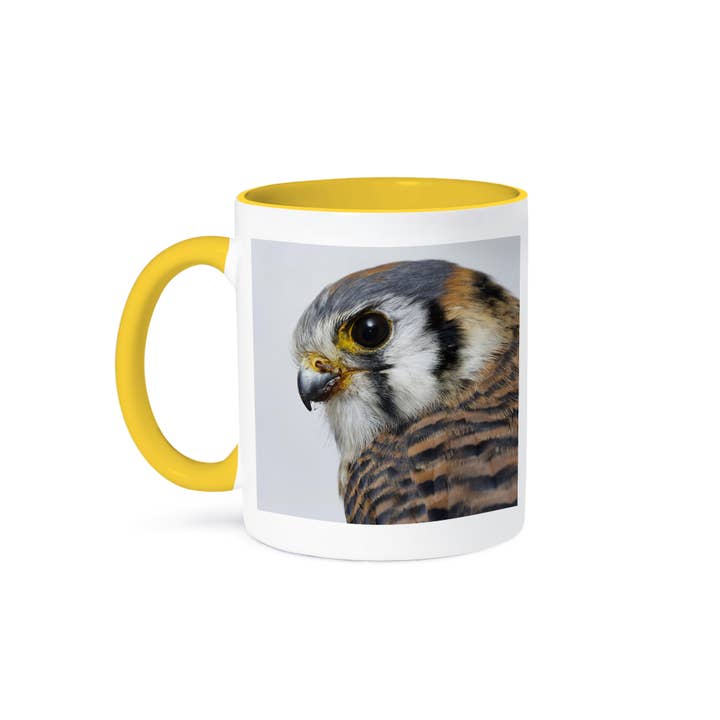 3dRose - Wholesale Coffee Mug - 3dRose, Female American Kestrel in winter ., Mug