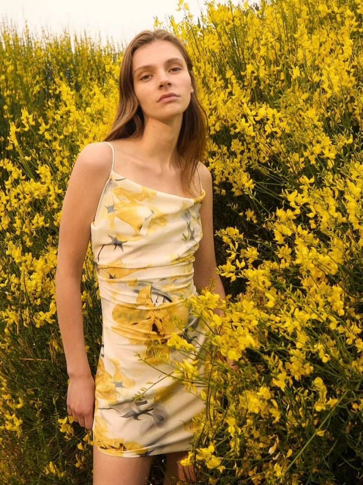 811647 ROSA per la vendita all'ingrosso da parte di Danity