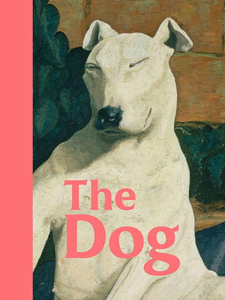 The Dog for wholesale by Abrams