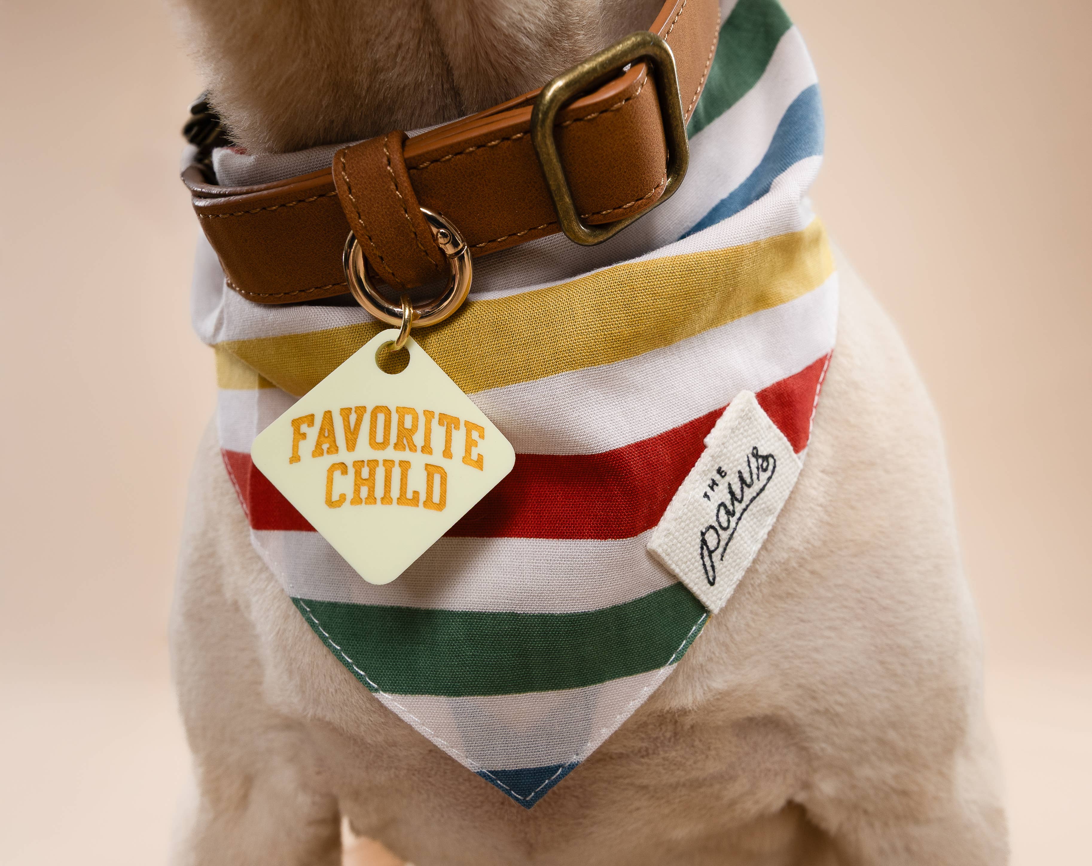 The Paws - Wholesale Pet Bandana - Dog - Frontier Dog Bandana2