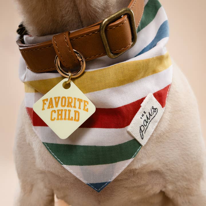 The Paws - Wholesale Pet Bandana - Dog - Frontier Dog Bandana2