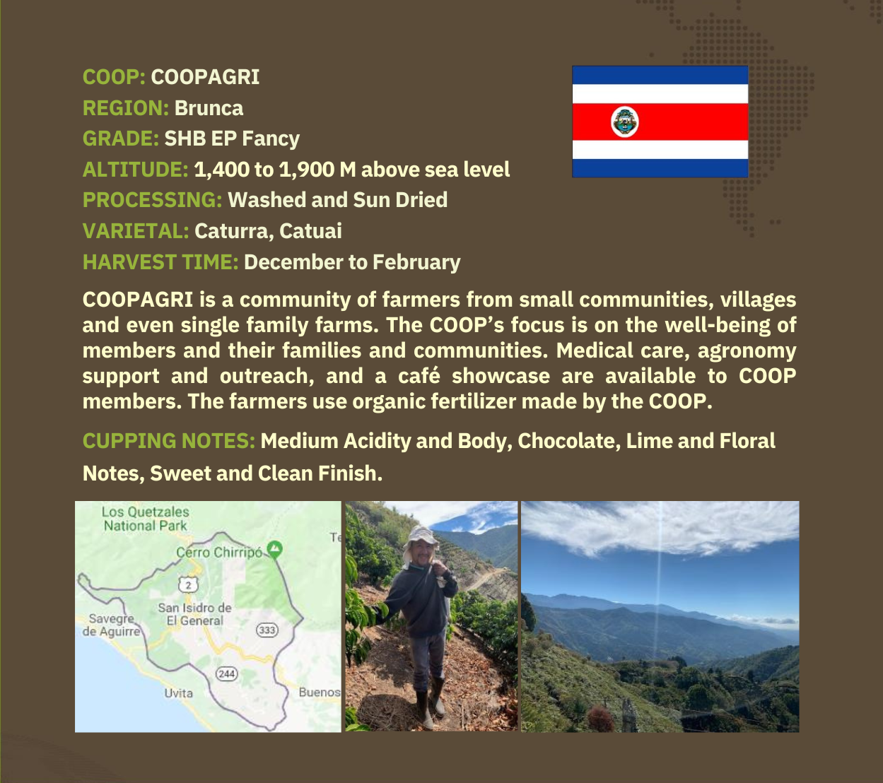 San Francisco Coffee Roasting Co - Wholesale Coffee Beans - Costa Rican Tarrazu - 5LB1