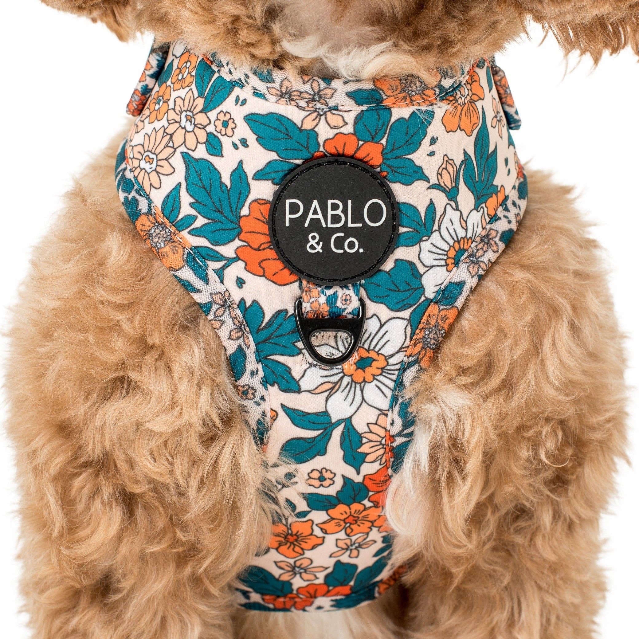 Purchase Wholesale dog boutique. Free Returns Net 60 Terms on