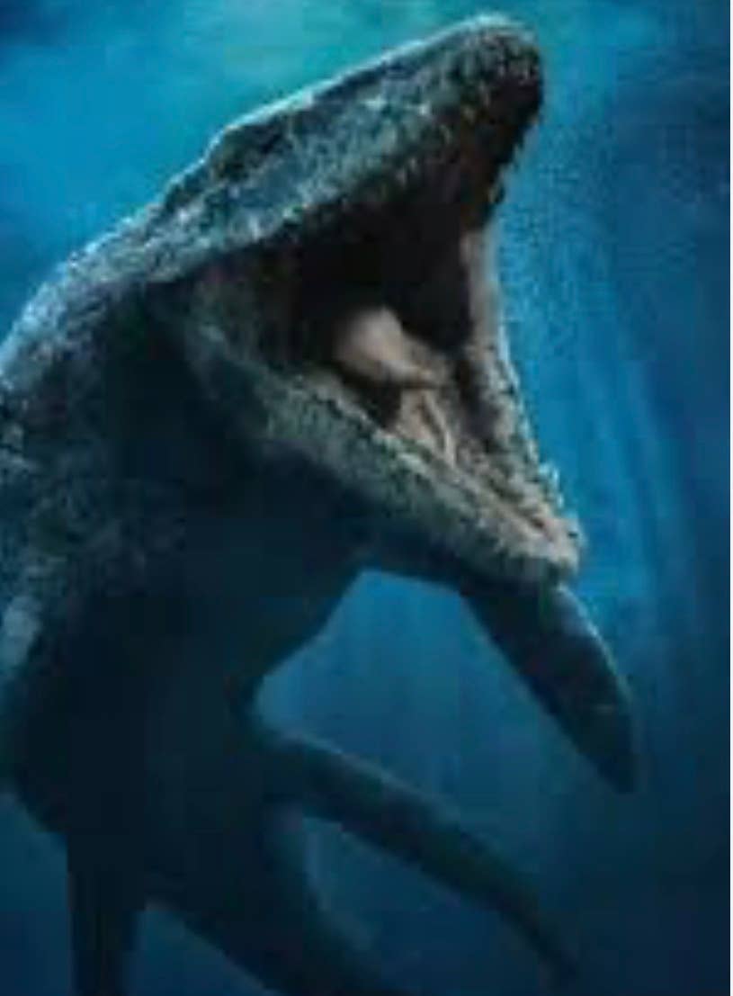 Casablanca Exports – wholesale Andlig sten/kristall – Mosasaurus enkel tand2