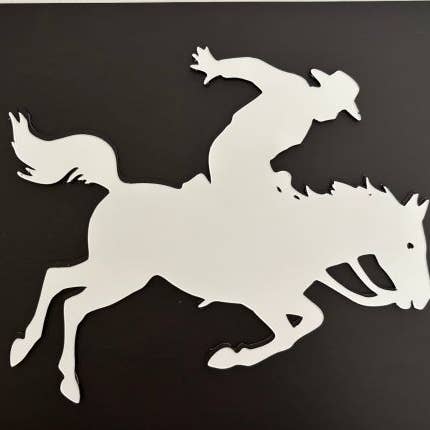 DCentral Magnetics - Wholesale Magnet - DCentral® Rodeo Flexible Vinyl Safety Screen Magnets2