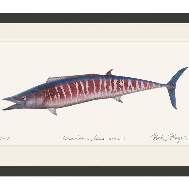 Stampa in Edizione Limitata Wahoo per la vendita all'ingrosso da parte di Nick Mayer Art