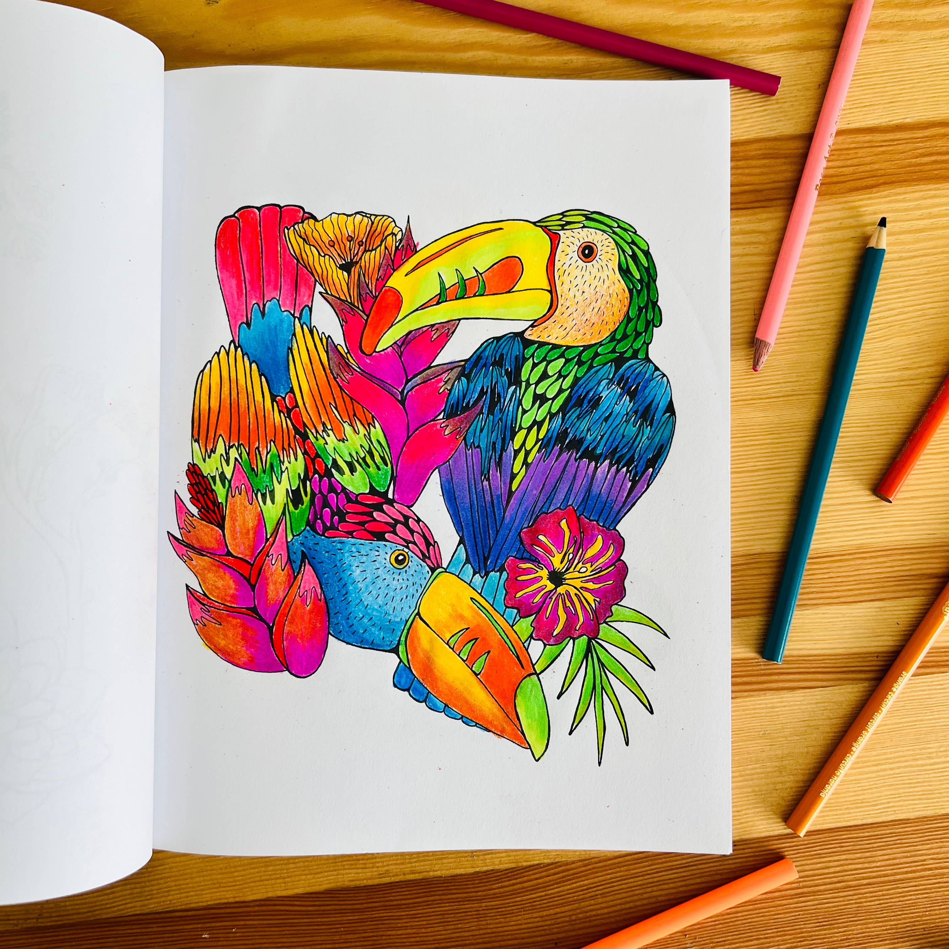 Sunshine Studios LLC - Vendita all'ingrosso Libro da colorare e attività - Adulti - Flora e Fauna1