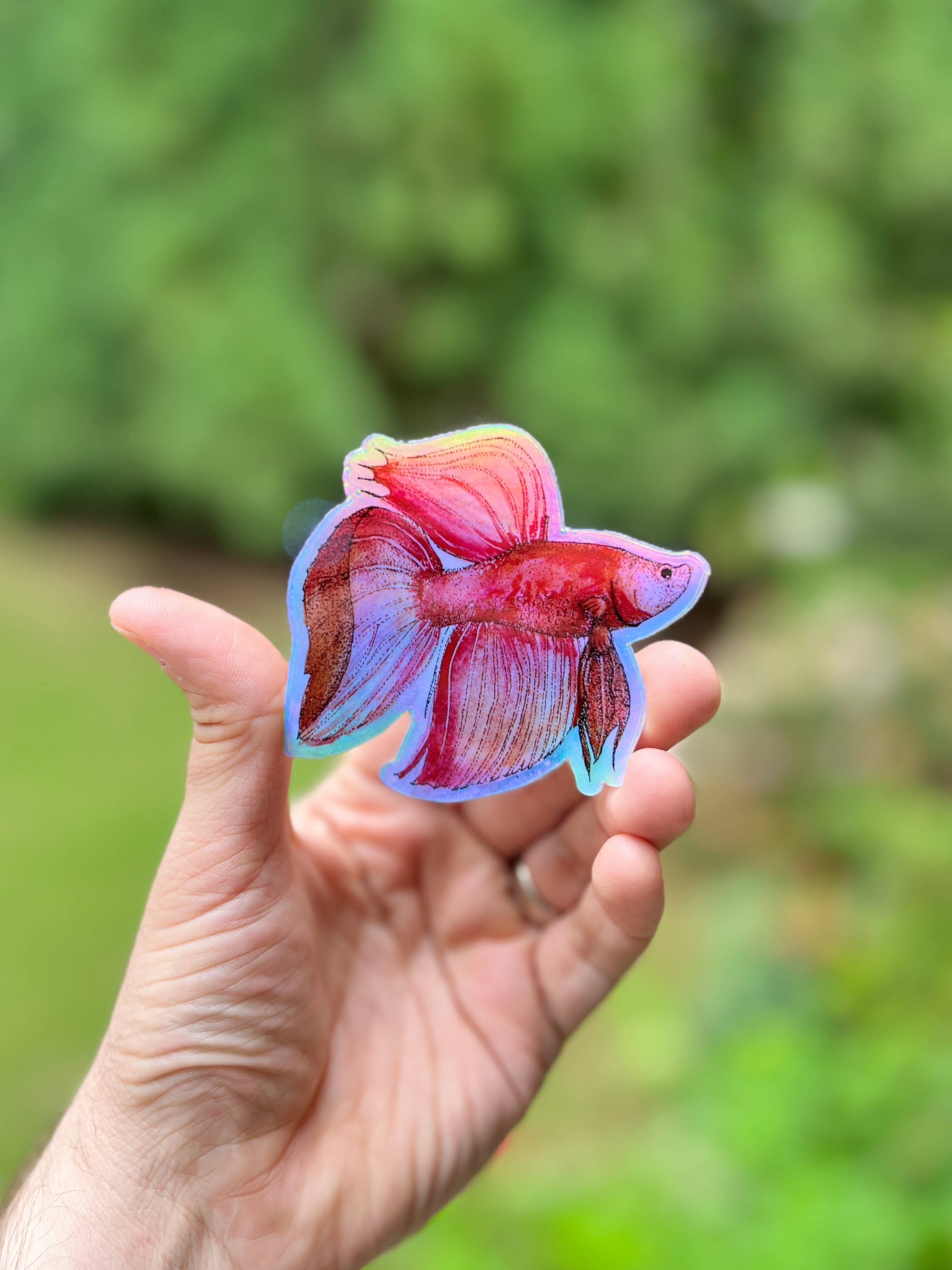 Uncle Dunc's Sticker Shoppe - Wholesale Sticker - Betta Fish {sticker}