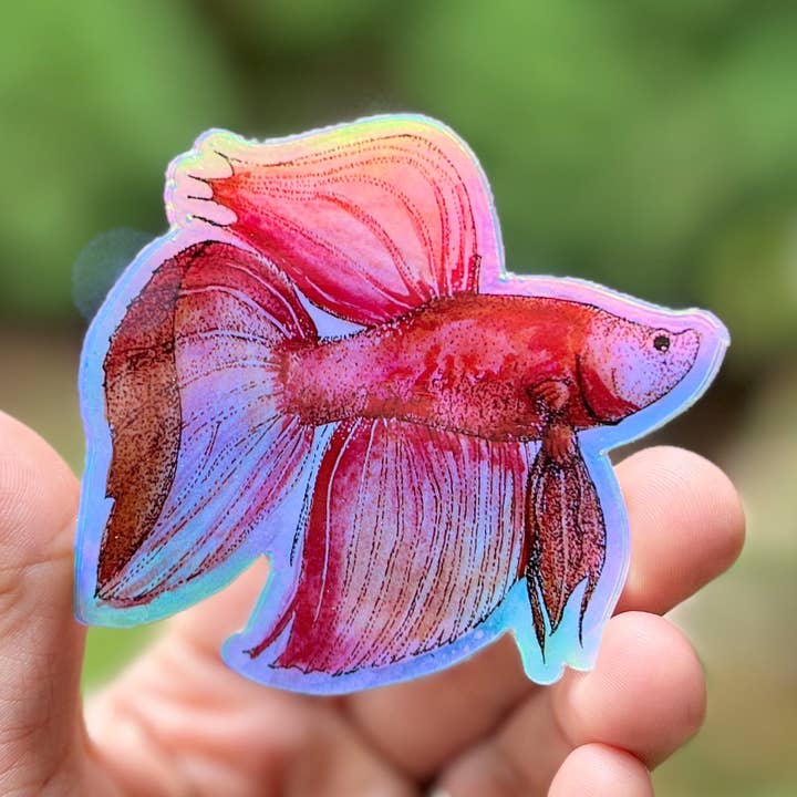 Uncle Dunc's Sticker Shoppe - Wholesale Sticker - Betta Fish {sticker}0