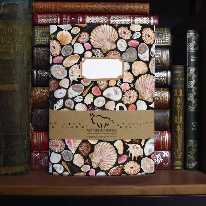 Mollusca Sea Shell A5 Recycled Notebook - 76 Lined Pages for wholesale by Bison Bindery