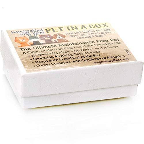 Enigma Supplies - Wholesale Decorative Figurine - Pet in a Box Ceramic Figurine Animal Gift for Kids4